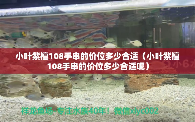 小叶紫檀108手串的价位多少合适（小叶紫檀108手串的价位多少合适呢） 文玩