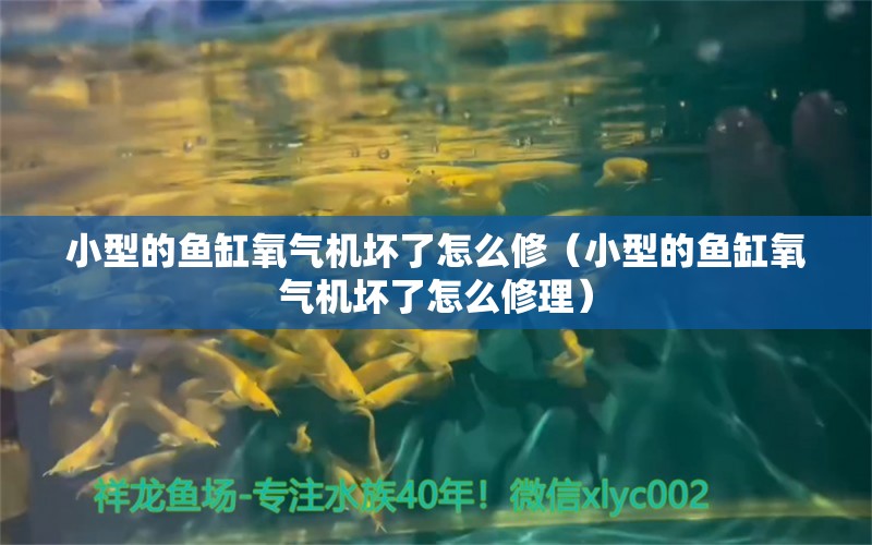 小型的鱼缸氧气机坏了怎么修（小型的鱼缸氧气机坏了怎么修理）