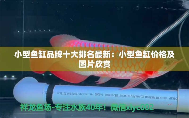 小型鱼缸品牌十大排名最新：小型鱼缸价格及图片欣赏 广州龙鱼批发市场
