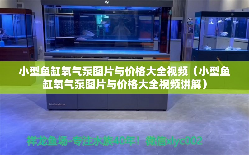 小型鱼缸氧气泵图片与价格大全视频（小型鱼缸氧气泵图片与价格大全视频讲解） 观赏鱼市场（混养鱼）