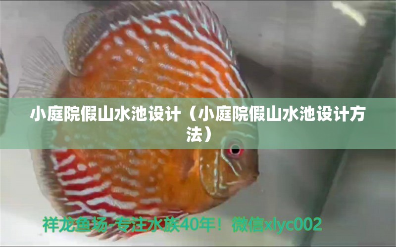 小庭院假山水池设计（小庭院假山水池设计方法） 水草