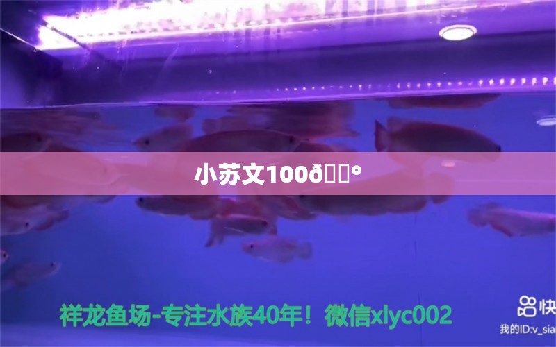 小苏文100💰 观赏鱼论坛 第3张