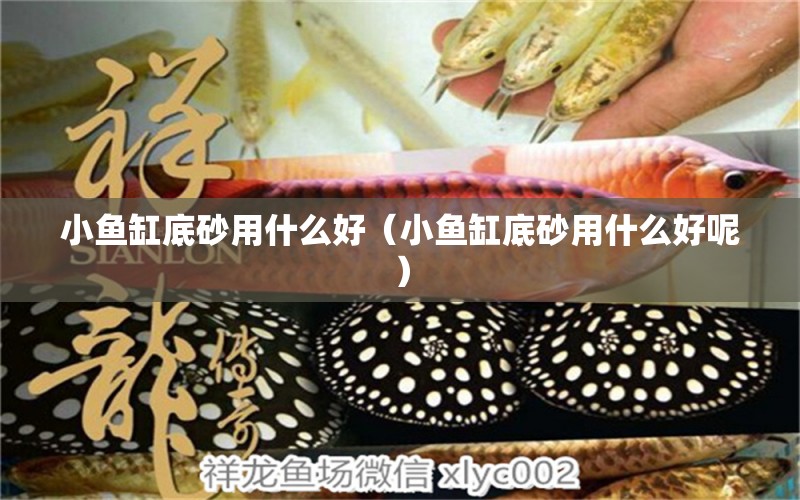 小鱼缸底砂用什么好（小鱼缸底砂用什么好呢） 祥龙水族医院