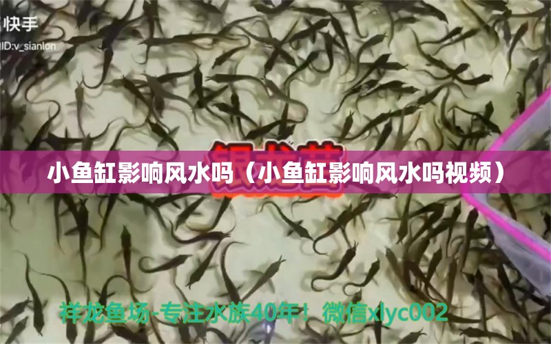 小鱼缸影响风水吗（小鱼缸影响风水吗视频） 鱼缸风水