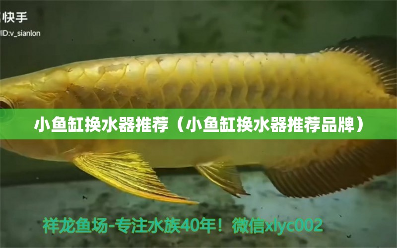 小鱼缸换水器推荐（小鱼缸换水器推荐品牌） 祥龙水族医院