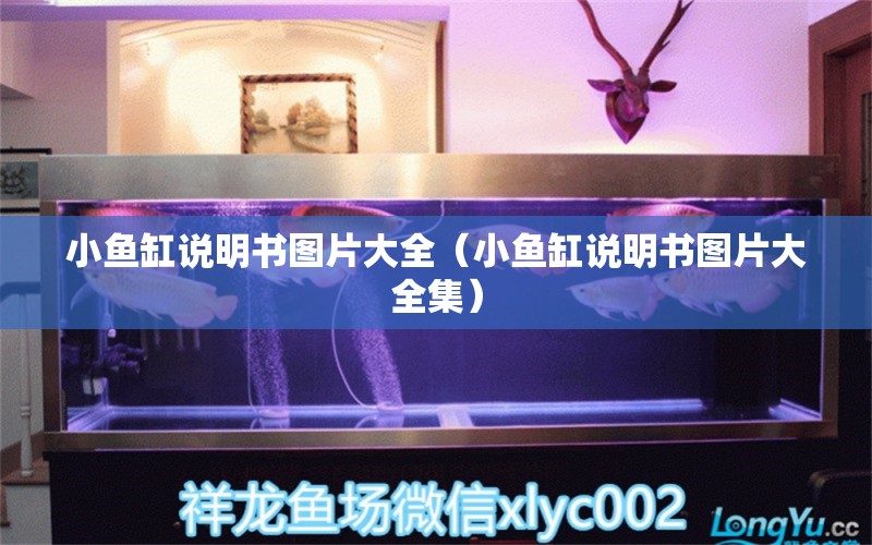 小鱼缸说明书图片大全（小鱼缸说明书图片大全集） 祥龙水族医院