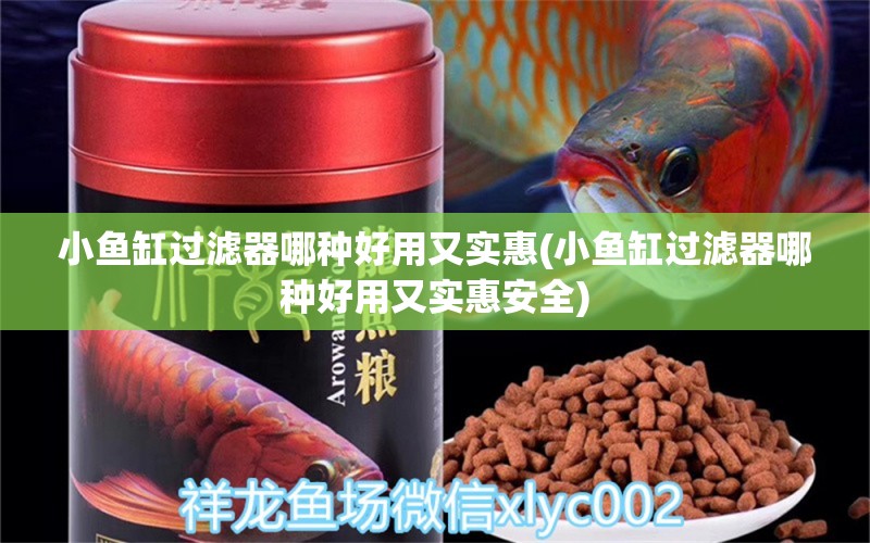 小鱼缸过滤器哪种好用又实惠(小鱼缸过滤器哪种好用又实惠安全)