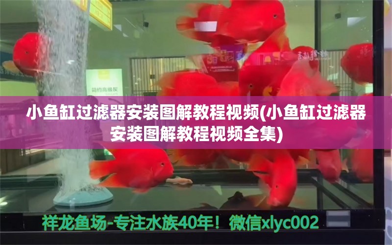 小鱼缸过滤器安装图解教程视频(小鱼缸过滤器安装图解教程视频全集) 祥龙鱼场品牌产品