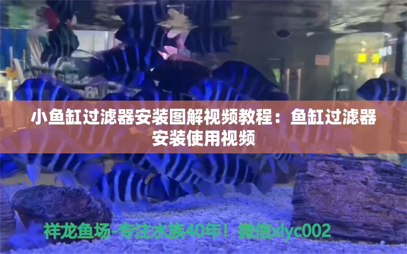 小鱼缸过滤器安装图解视频教程：鱼缸过滤器安装使用视频 观赏鱼市场 第1张