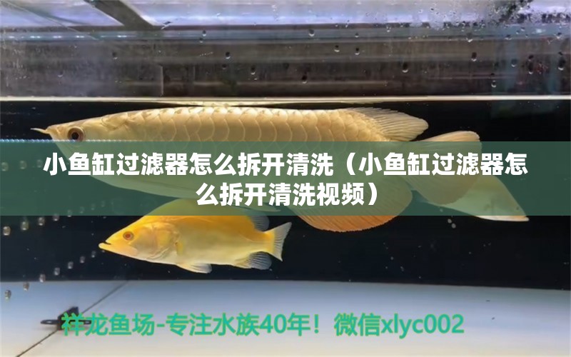 小鱼缸过滤器怎么拆开清洗（小鱼缸过滤器怎么拆开清洗视频）