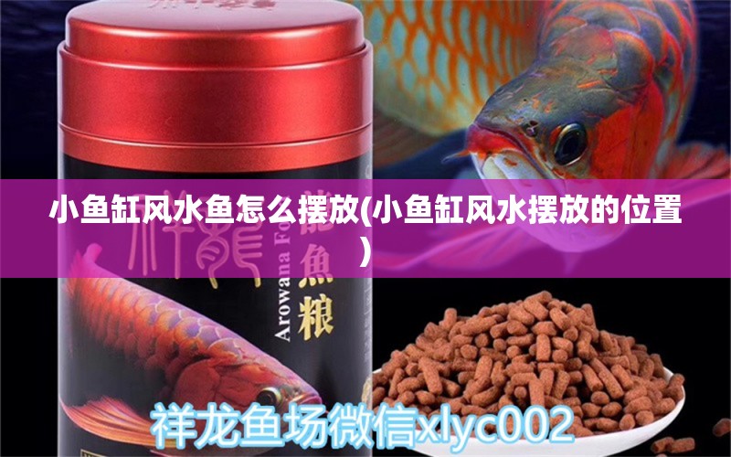 小鱼缸风水鱼怎么摆放(小鱼缸风水摆放的位置) 鱼缸风水 第1张