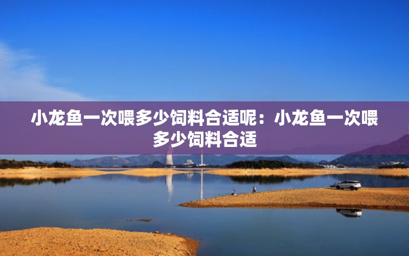 小龙鱼一次喂多少饲料合适呢：小龙鱼一次喂多少饲料合适 龙鱼百科 第2张