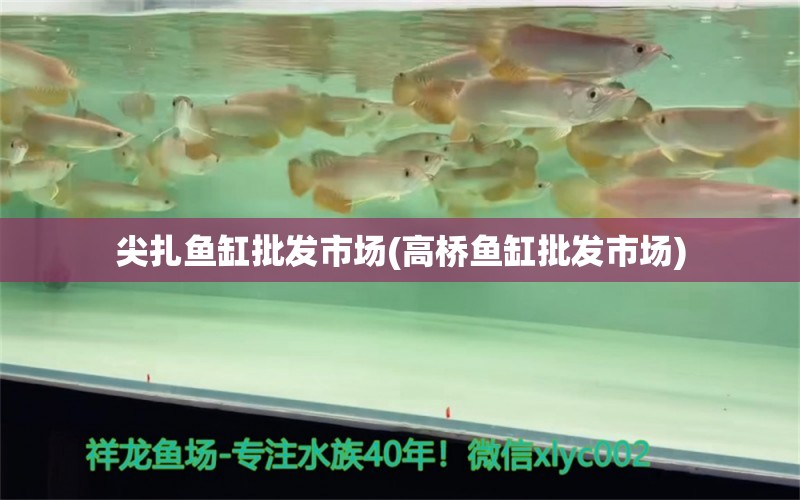 尖扎鱼缸批发市场(高桥鱼缸批发市场) 鱼缸风水 第1张