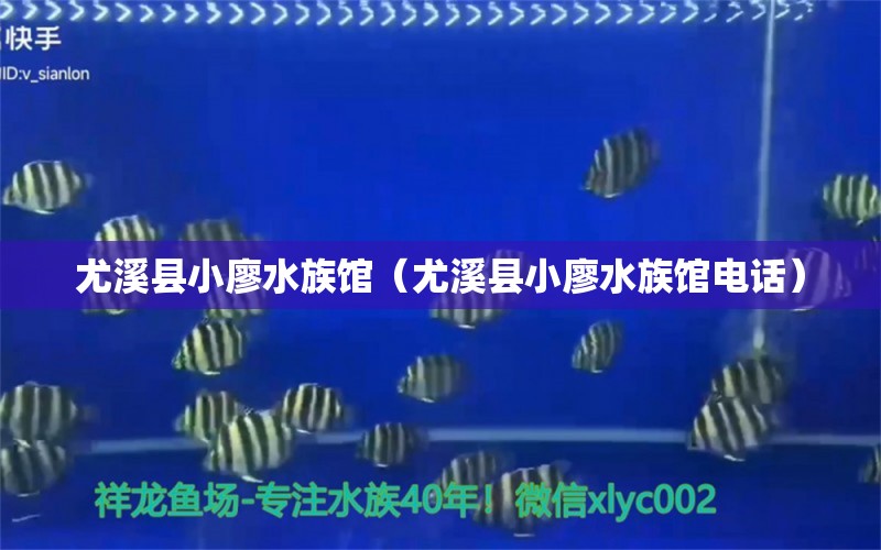 尤溪县小廖水族馆（尤溪县小廖水族馆电话） 全国水族馆企业名录