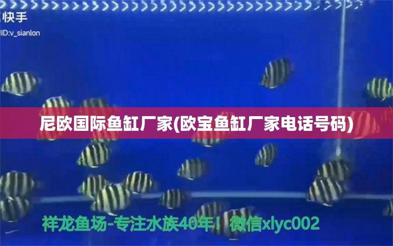 尼欧国际鱼缸厂家(欧宝鱼缸厂家电话号码) 水温计 第1张