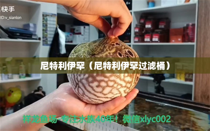 尼特利伊罕（尼特利伊罕过滤桶）