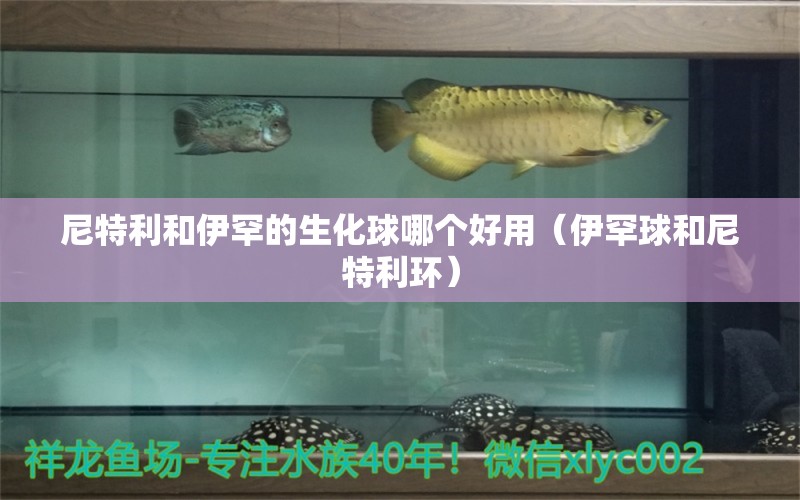 尼特利和伊罕的生化球哪个好用（伊罕球和尼特利环） 伊罕水族