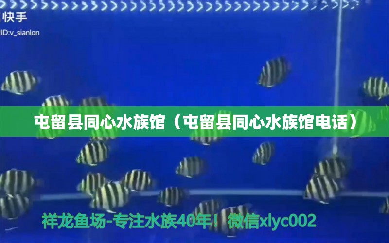 屯留县同心水族馆（屯留县同心水族馆电话）