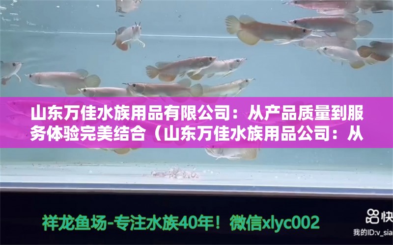 山东万佳水族用品有限公司：从产品质量到服务体验完美结合（山东万佳水族用品公司：从产品质量到服务体验的完美结合）