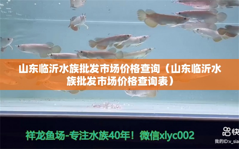 山东临沂水族批发市场价格查询（山东临沂水族批发市场价格查询表） 观赏鱼水族批发市场