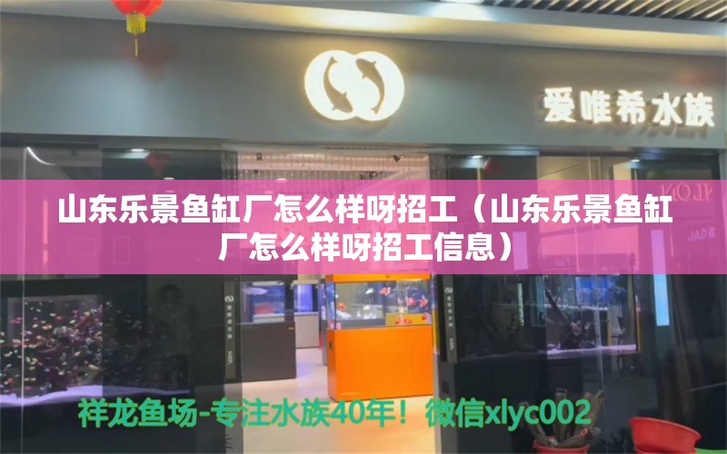 山东乐景鱼缸厂怎么样呀招工（山东乐景鱼缸厂怎么样呀招工信息）