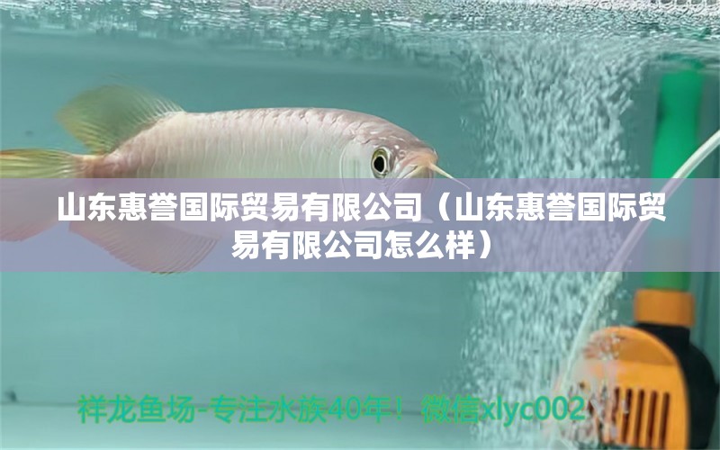 山东惠誉国际贸易有限公司（山东惠誉国际贸易有限公司怎么样） 全国水族馆企业名录