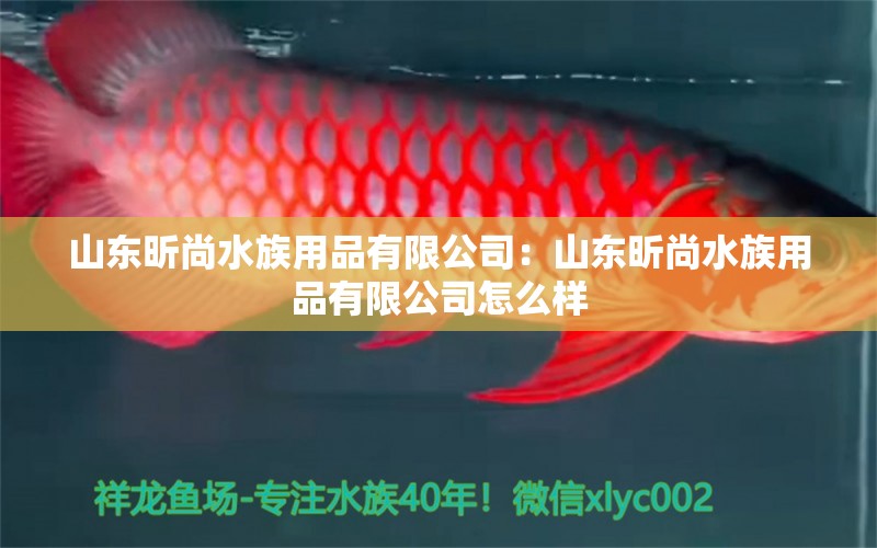 山东昕尚水族用品有限公司：山东昕尚水族用品有限公司怎么样