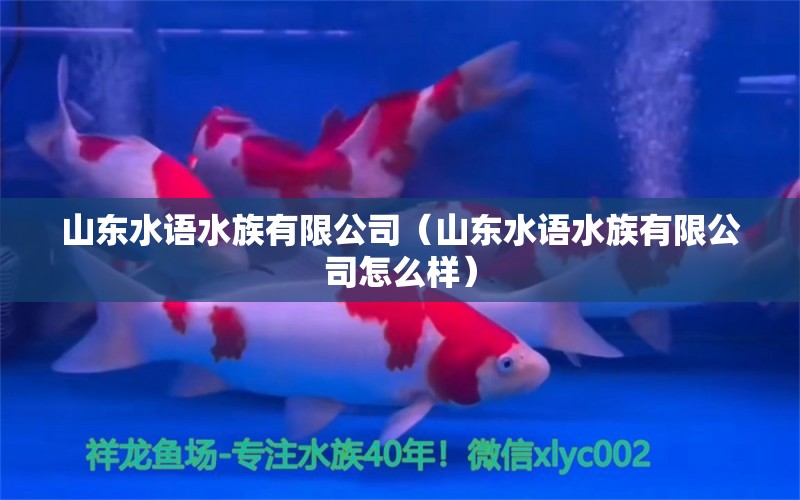 山东水语水族有限公司（山东水语水族有限公司怎么样）