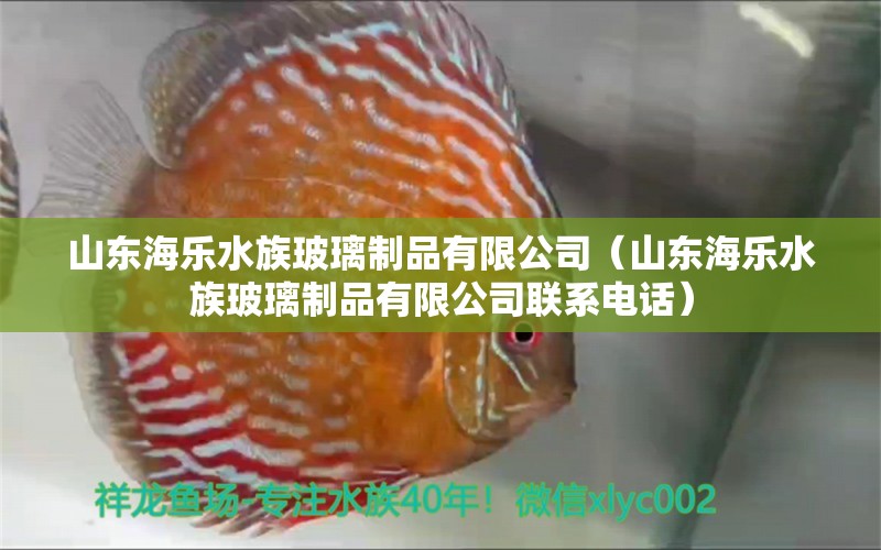 山东海乐水族玻璃制品有限公司（山东海乐水族玻璃制品有限公司联系电话） 全国水族馆企业名录