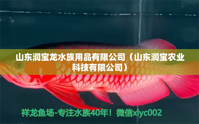 山东润宝龙水族用品有限公司（山东润宝农业科技有限公司）