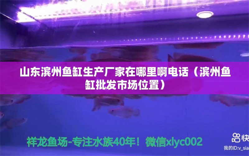 山东滨州鱼缸生产厂家在哪里啊电话（滨州鱼缸批发市场位置） 潜水泵