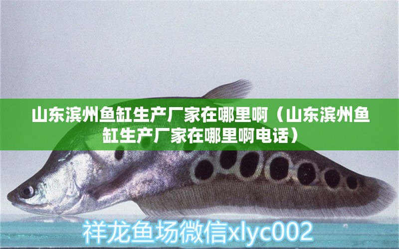 山东滨州鱼缸生产厂家在哪里啊（山东滨州鱼缸生产厂家在哪里啊电话） 其他品牌鱼缸