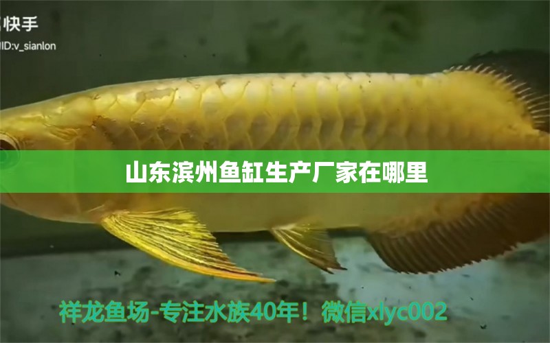 山东滨州鱼缸生产厂家在哪里 其他品牌鱼缸