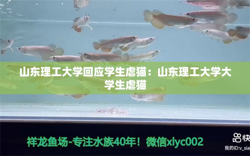 山东理工大学回应学生虐猫：山东理工大学大学生虐猫