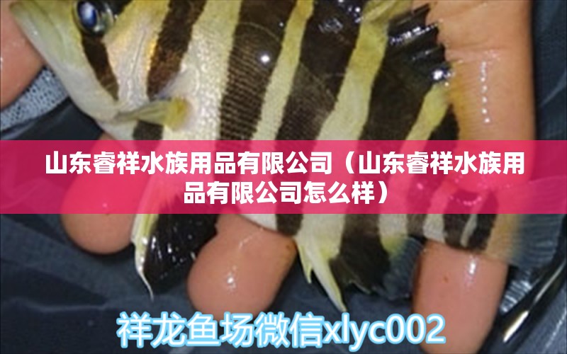 山东睿祥水族用品有限公司（山东睿祥水族用品有限公司怎么样） 水族用品