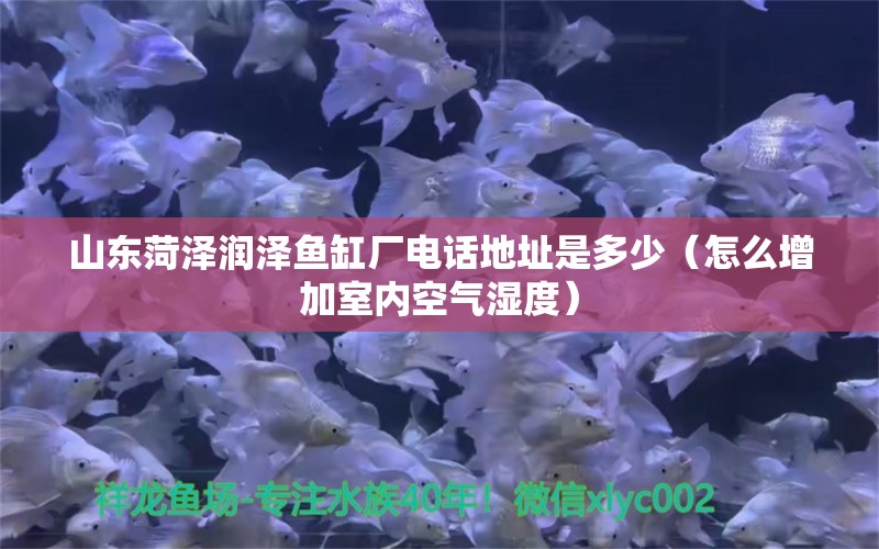 山东菏泽润泽鱼缸厂电话地址是多少（怎么增加室内空气湿度）