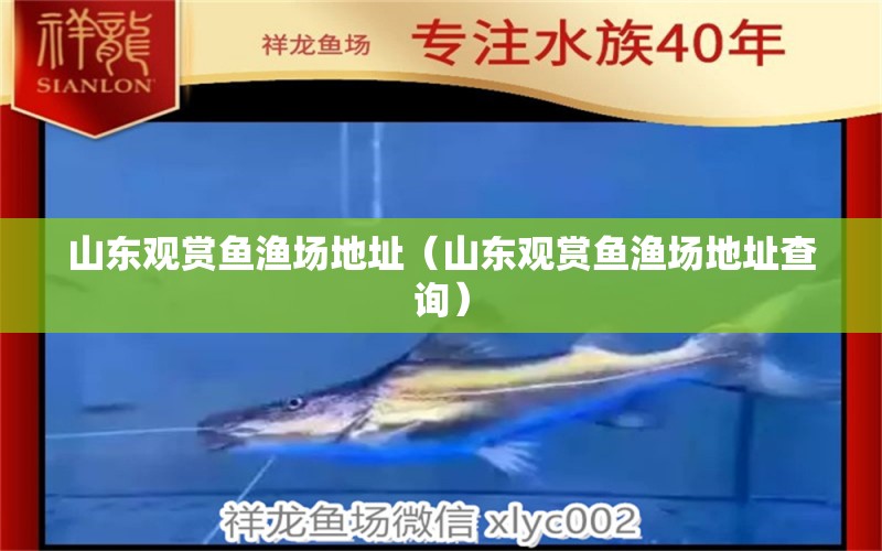 山东观赏鱼渔场地址（山东观赏鱼渔场地址查询） 祥龙水族医院