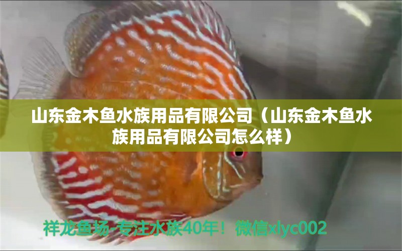 山东金木鱼水族用品有限公司（山东金木鱼水族用品有限公司怎么样） 水族用品 第1张