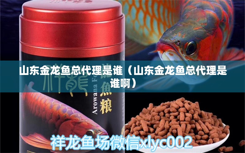 山东金龙鱼总代理是谁（山东金龙鱼总代理是谁啊） 祥龙水族医院