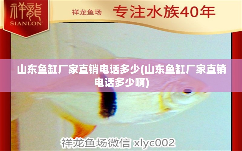 山东鱼缸厂家直销电话多少(山东鱼缸厂家直销电话多少啊) 飞凤鱼