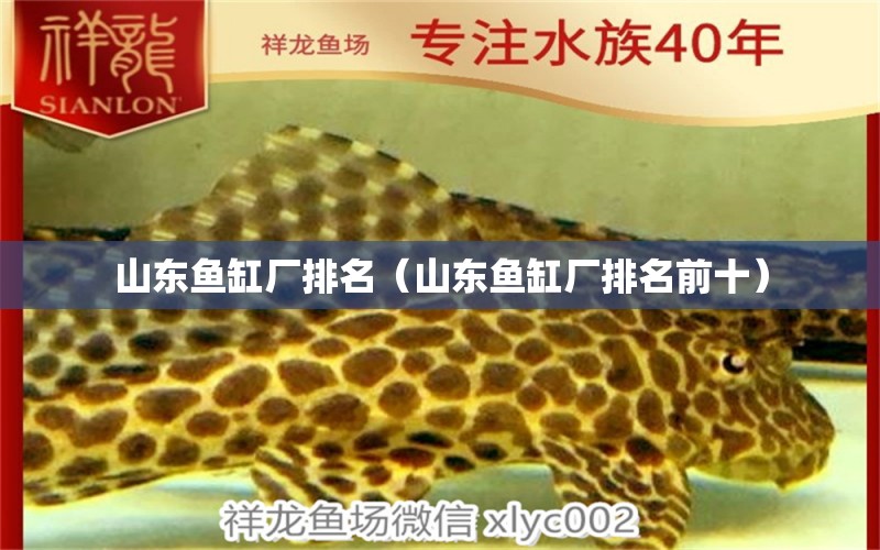 山东鱼缸厂排名（山东鱼缸厂排名前十） 其他品牌鱼缸