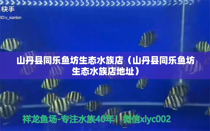 山丹县同乐鱼坊生态水族店（山丹县同乐鱼坊生态水族店地址）