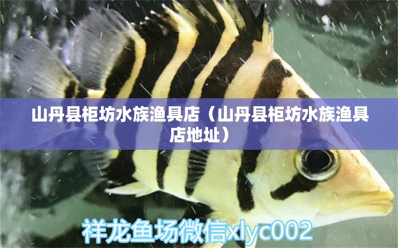 山丹县柜坊水族渔具店（山丹县柜坊水族渔具店地址）