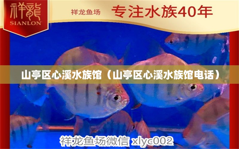 山亭区心溪水族馆（山亭区心溪水族馆电话）