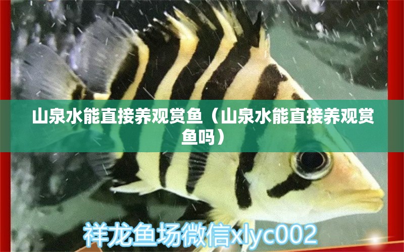 山泉水能直接养观赏鱼（山泉水能直接养观赏鱼吗） 观赏鱼市场（混养鱼）