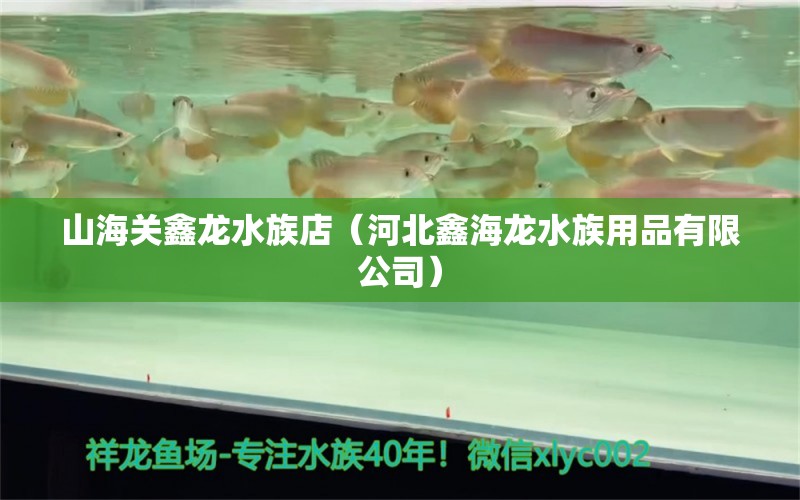 山海关鑫龙水族店（河北鑫海龙水族用品有限公司）