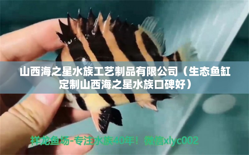 山西海之星水族工艺制品有限公司（生态鱼缸定制山西海之星水族口碑好） 全国水族馆企业名录