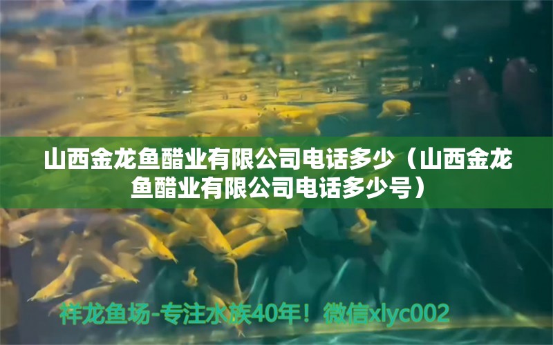 山西金龙鱼醋业有限公司电话多少（山西金龙鱼醋业有限公司电话多少号） 祥龙水族医院