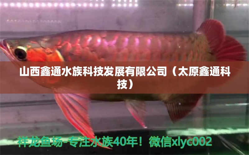 山西鑫通水族科技发展有限公司（太原鑫通科技） 全国水族馆企业名录