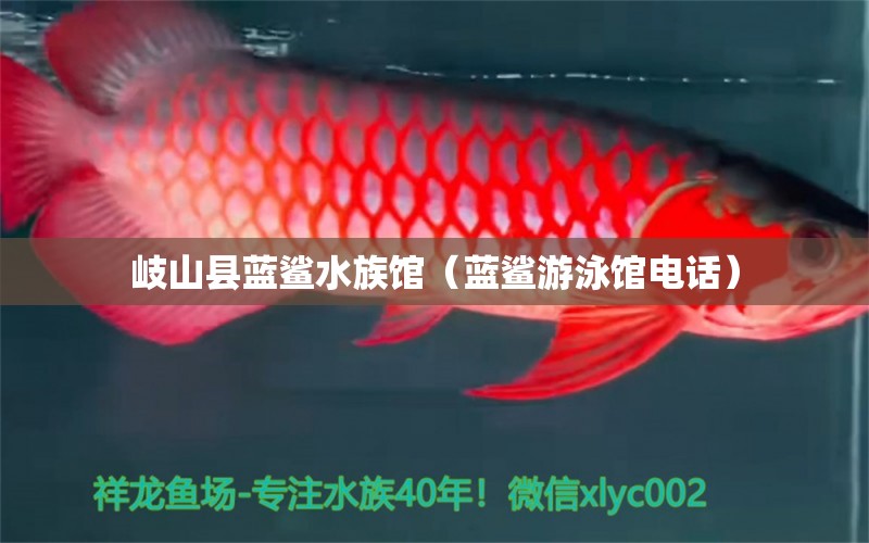岐山县蓝鲨水族馆（蓝鲨游泳馆电话） 全国水族馆企业名录
